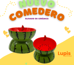 comedero de gatos